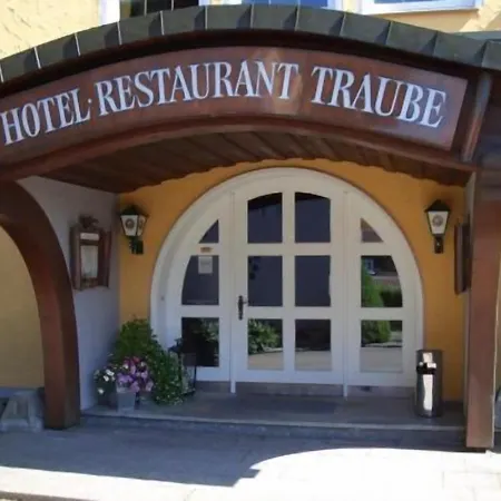 Traube Hotel 3*